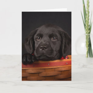 Tarjeta Perrito negro del labrador retriever en una cesta