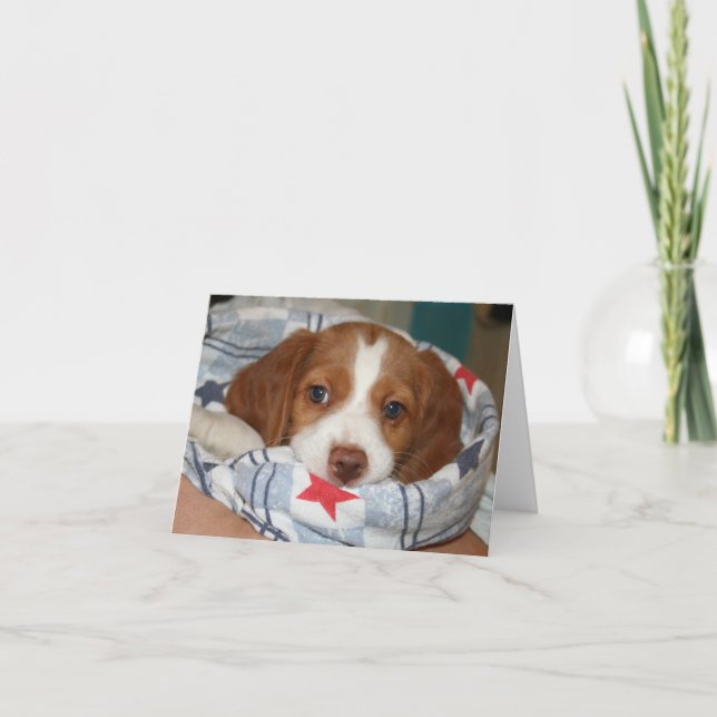 Tarjeta Perrito Notecard de Bretaña del Snuggle (Anverso)