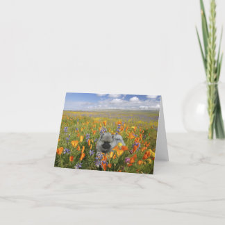 Tarjeta Perrito Notecard de la primavera