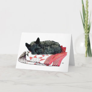 Tarjeta Perrito Scottie Durmiendo Poco