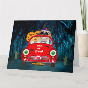 Tarjeta Perrito Shih Tzu Conduciendo Coche Espeluznante Ha