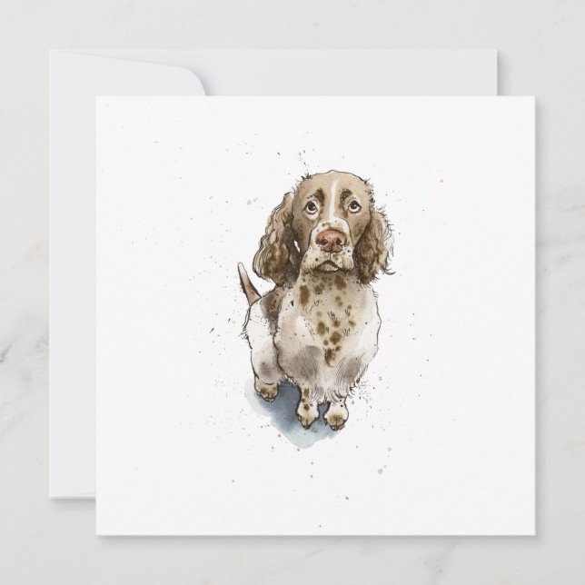 Tarjeta Perrito Simpático Divertido y Lindo Springer Spani (Anverso)