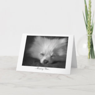 Tarjeta Perrito soñoliento - falta de usted