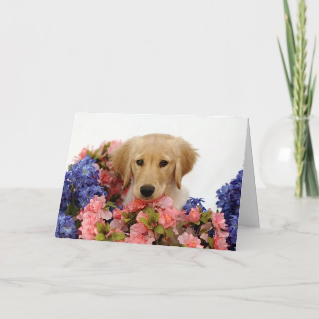 Tarjeta Perrito y flores del golden retriever (Anverso)