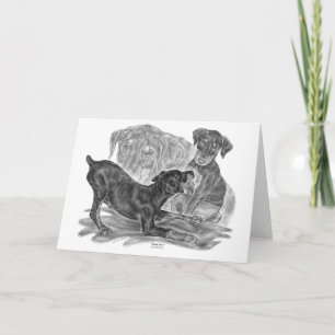 Tarjeta Perritos del Pinscher del Doberman que dibujan por