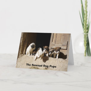 Tarjeta Perritos en la puerta, los perritos de los taludes
