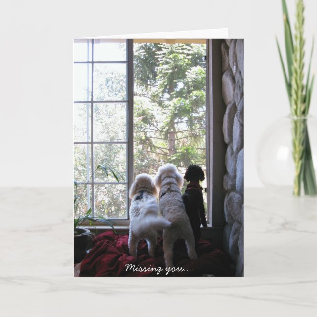 Tarjeta Perritos que le faltan (Anverso)