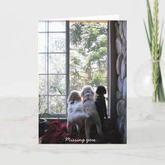 Tarjeta Perritos que le faltan