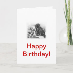 Tarjeta Perro acuático portugués