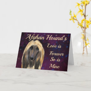 TARJETA PERRO AFGANO 