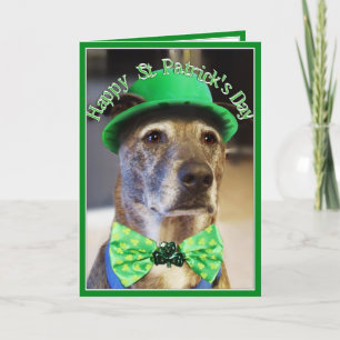 Tarjeta Perro afortunado del Día de San Patricio