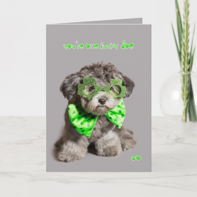 Tarjeta Perro afortunado del día del St Patricks (Anverso)