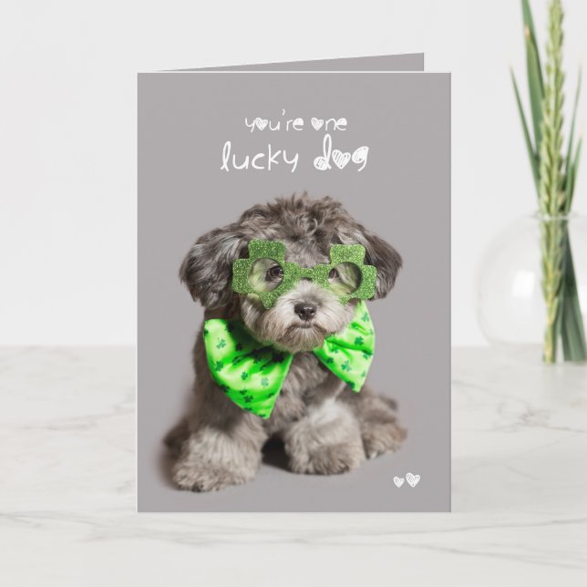 Tarjeta Perro afortunado del día del St Patricks (Anverso)