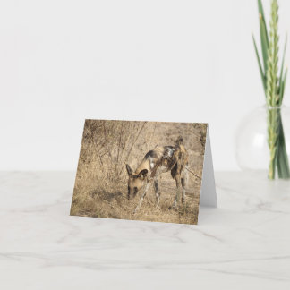 TARJETA PERRO AFRICANO WILD