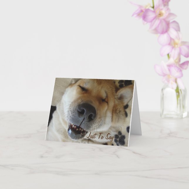Tarjeta perro akita japonés con una sonrisa adorable pensa (Orquídea)