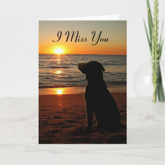 Tarjeta Perro al atardecer en la playa