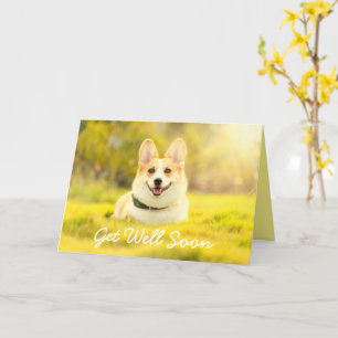 Tarjeta Perro amarillo y aliento: mejor carta