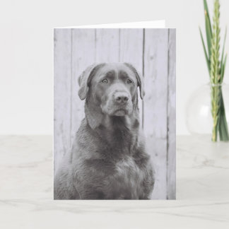 Tarjeta Perro americano