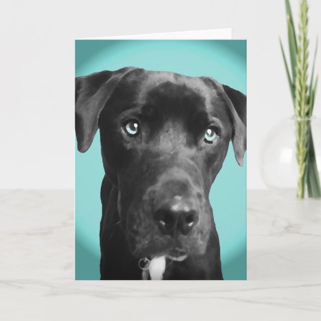 Tarjeta Perro azul (Anverso)