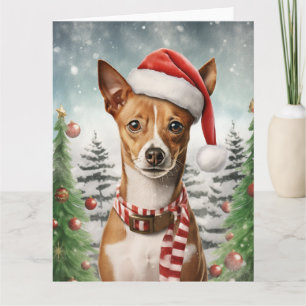 Tarjeta Perro Basenji Navidad Santa Patas