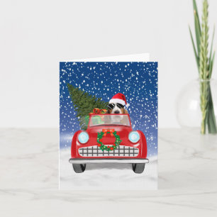 Tarjeta Perro Basset Hound conduciendo coche en Navidad Ni