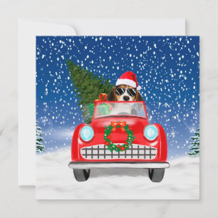 Tarjeta Perro Beagle Conductor Auto En Navidades De Nieve