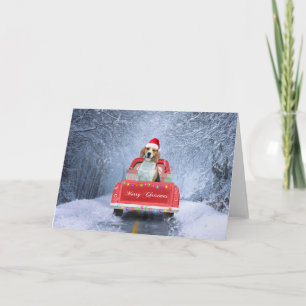 Tarjeta Perro Beagle en Nieve sentado en un camión de Navi