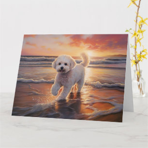 Tarjeta Perro Bichon Frise de Patas Arenosa en Puesta de S
