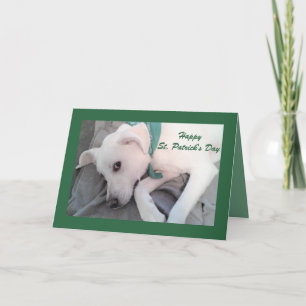 Tarjeta Perro blanco perezoso y lindo con bufanda verde