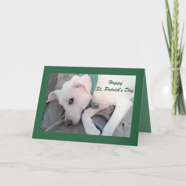 Tarjeta Perro blanco perezoso y lindo con bufanda verde (Anverso)