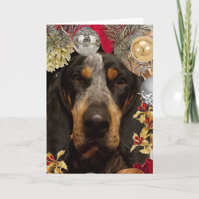 Tarjeta Perro Bluetick Coonhound / Foto de mascota Navidad (Anverso)