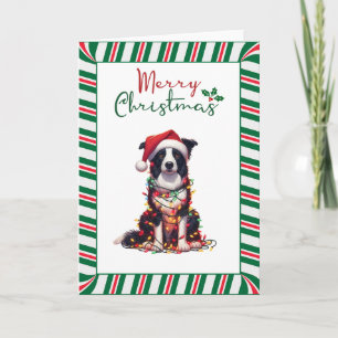 Tarjeta Perro Border Collie Envuelto en Luces de Navidad
