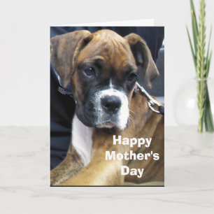 TARJETA PERRO BOXER 