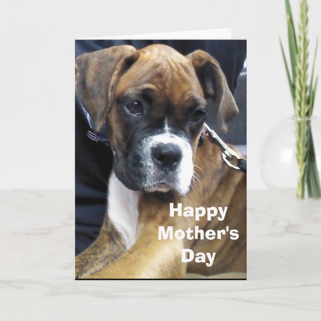 TARJETA PERRO BOXER  (Anverso)