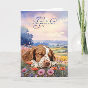 Tarjeta Perro Brittany Spaniel Flores Silvestres Te Extrañ