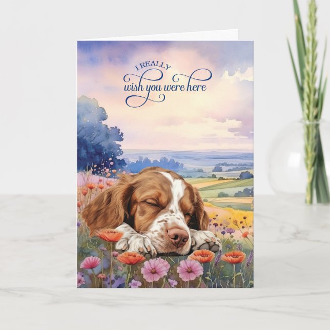 Tarjeta Perro Brittany Spaniel Flores Silvestres Te Extrañ (Anverso)