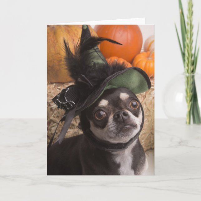 Tarjeta Perro Bruja de Halloween (Anverso)