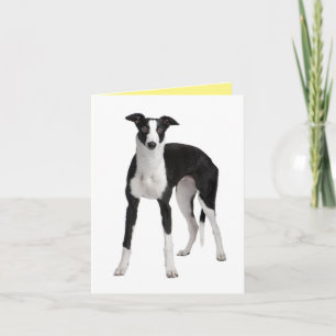 Tarjeta Perro cachorro cocido Greyhound Te Ama Hola