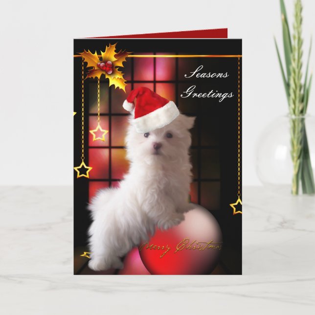 Tarjeta Perro Cachorro Maltés Blanco Navidad (Anverso)