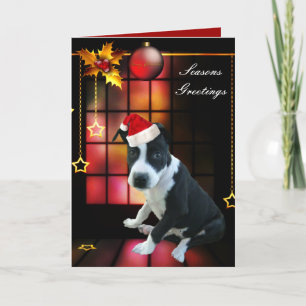 Tarjeta Perro Cachorro Pitbull Navidad