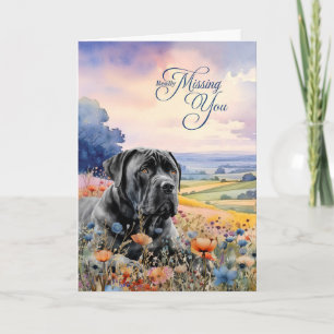 Tarjeta Perro Cane Corso Flores Silvestres Vista Escénica