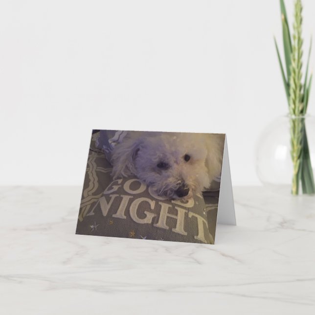 Tarjeta "Perro Cansado" Notecard (Anverso)