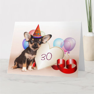 Tarjeta Perro chihuahua de cumpleaños