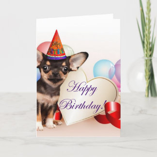 Tarjeta Perro chihuahua de cumpleaños