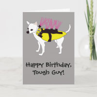Perro chihuahua en cumpleaños divertido con la cha