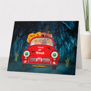 Tarjeta Perro Chow Chow Conduciendo Coche de Terror en Hal
