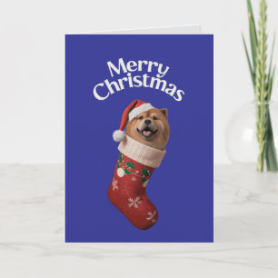 Tarjeta Perro Chow Chow Lindo Navidad