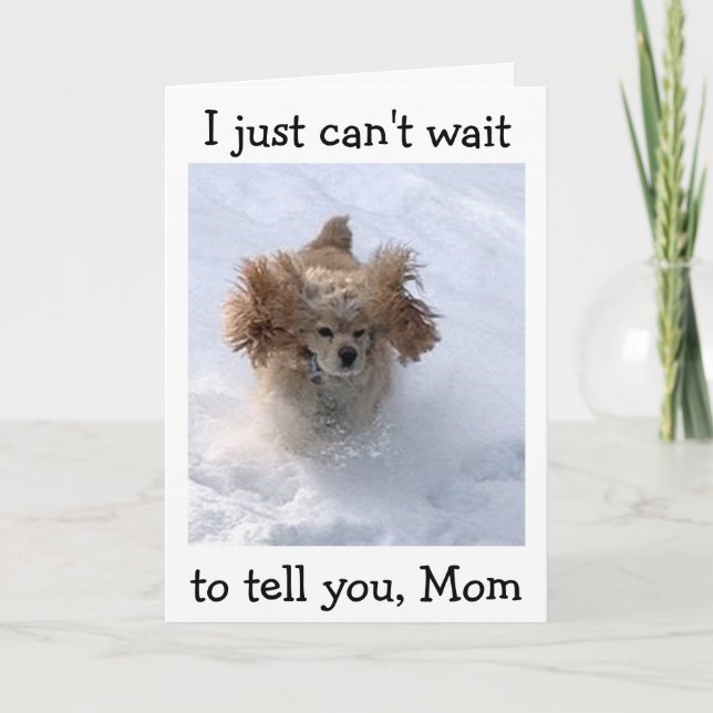 TARJETA **PERRO COMEDIC SNOWBOUND** PARA EL CUMPLEAÑOS DE  (Anverso)