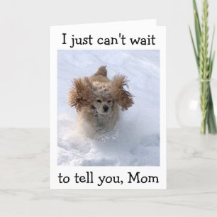 TARJETA **PERRO COMEDIC SNOWBOUND** PARA EL CUMPLEAÑOS DE