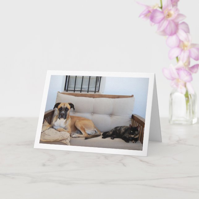 Tarjeta Perro con Gato en Banco (Orquídea)